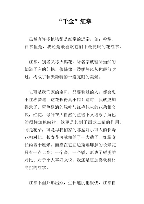 “千金”红掌