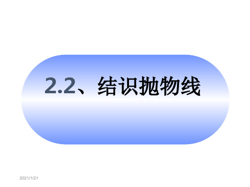 结识抛物线课件