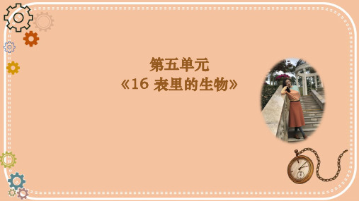 部编版六年级上册语文16.《表里的生物》(课件)