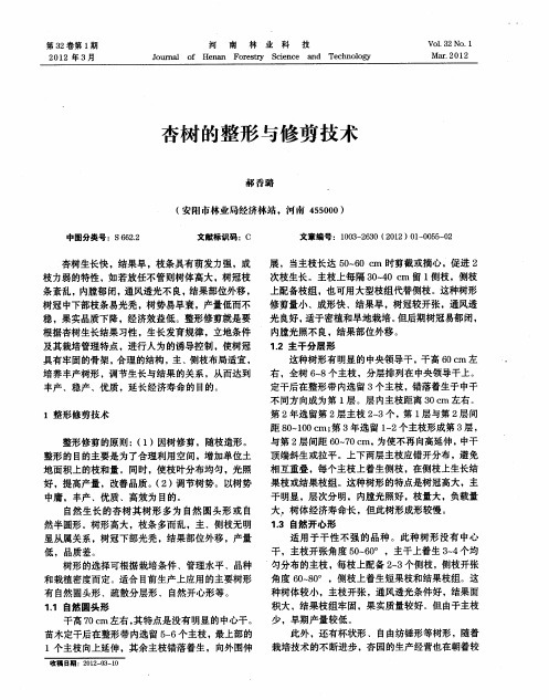 杏树的整形与修剪技术