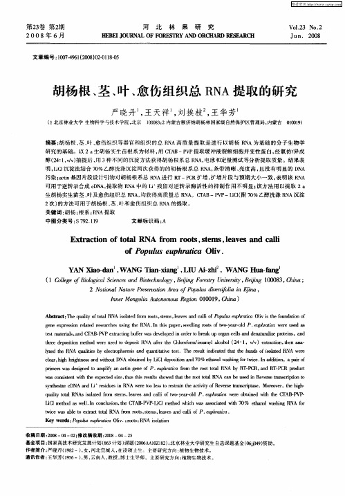 胡杨根、茎、叶、愈伤组织总RNA提取的研究
