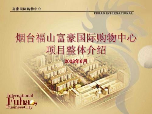 富豪项目介绍方案 (PPTminimizer)