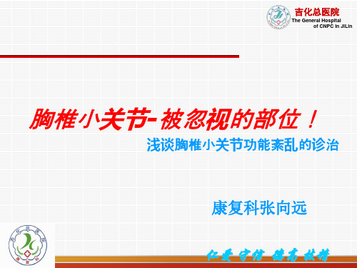 胸椎小关节功能紊乱的诊治-张向远