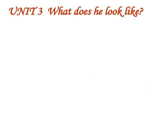 英语：Unit 3《What does he look like》课件(鲁教版