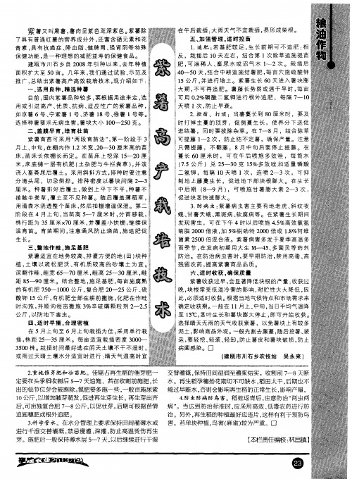 紫薯高产栽培技术
