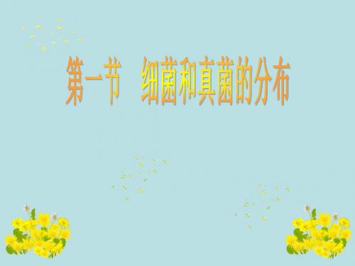 人教版生物八上5.4.1细菌和真菌的分布课件