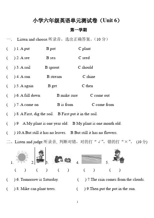 PEP小学六年级英语单元测试卷(Unit 6)