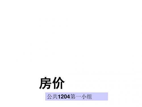 毛概演讲 房价