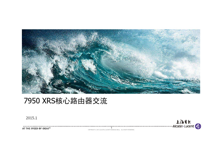 alcatel-7950介绍说明