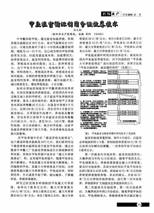 甲鱼温室循环利用分级放养技术