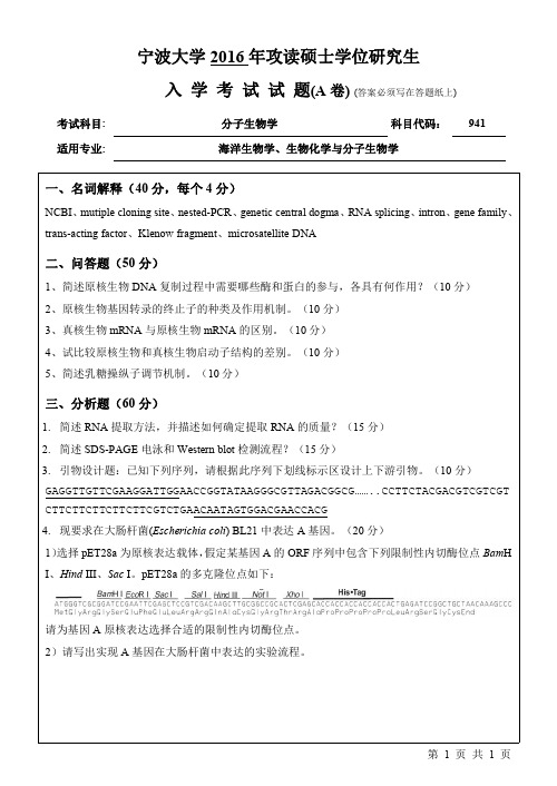 宁波大学 941分子生物学(A卷) 2016年硕士研究生考研真题