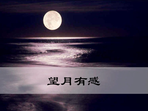 【语文课件】人教版部编本九年级语文下册望月有感优质课件