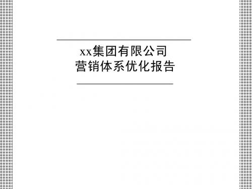 营销体系优化报告_