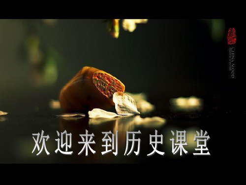 第20课殖民扩张与反殖民斗争