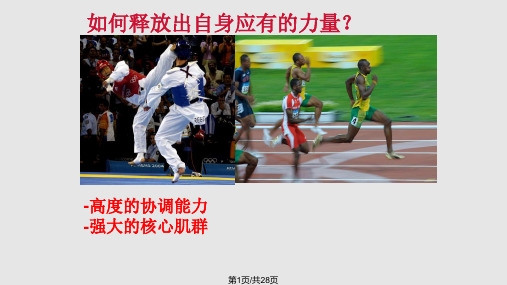 当代运动员体能训练理念与方法——力量训练王卫星PPT课件