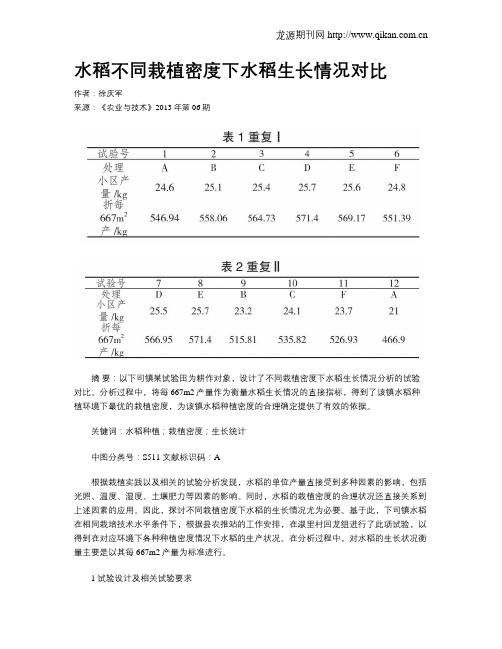 水稻不同栽植密度下水稻生长情况对比