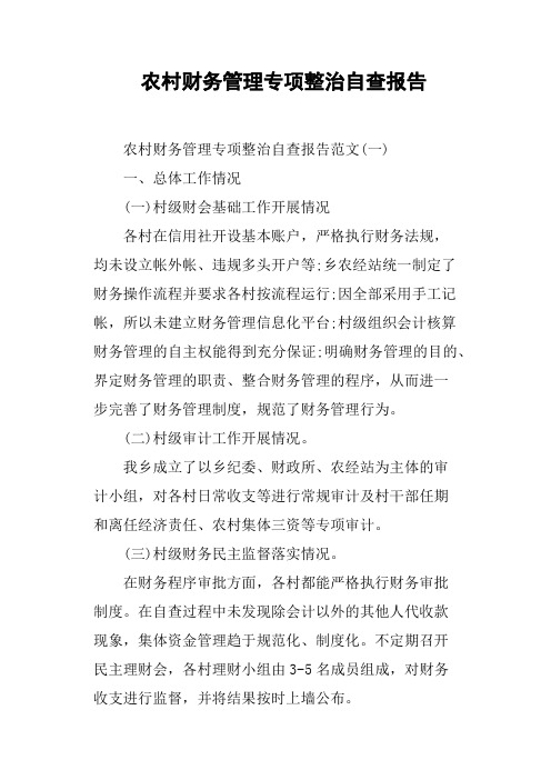 农村财务管理专项整治自查报告