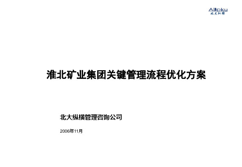 流程管理-北大纵横XXXX淮北矿业集团关键管理流程优化方案 精品
