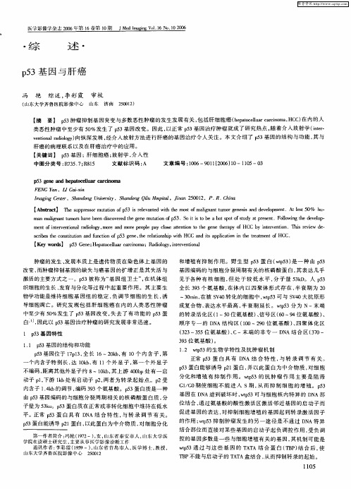 p53基因与肝癌