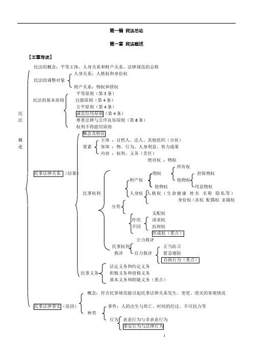 民法纲要