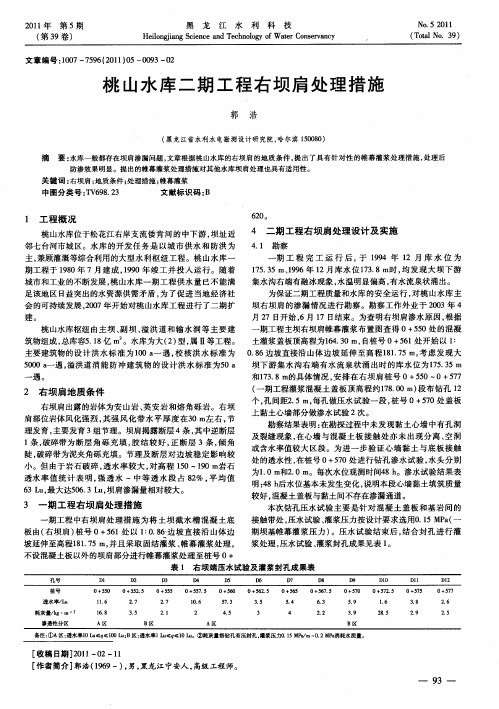 桃山水库二期工程右坝肩处理措施