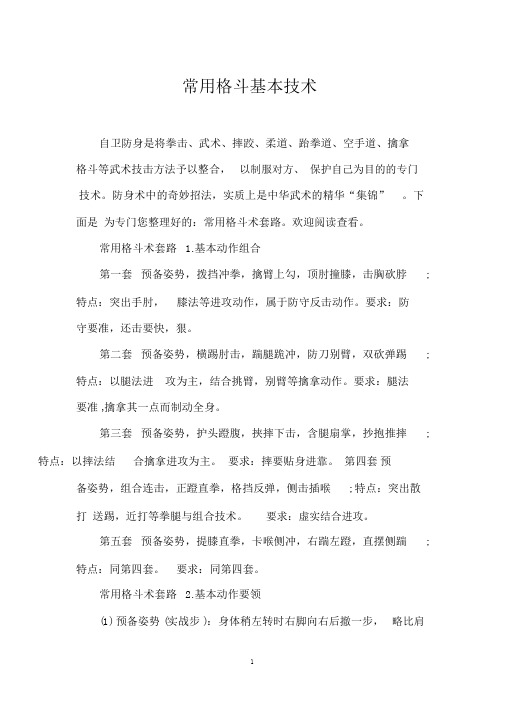 常用格斗基本技术