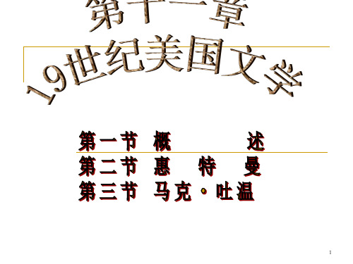 外国文学19世纪美国文学