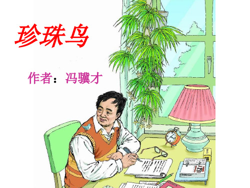 四年级上册语文课件-21 珍珠鸟｜苏教版 (共26张PPT)