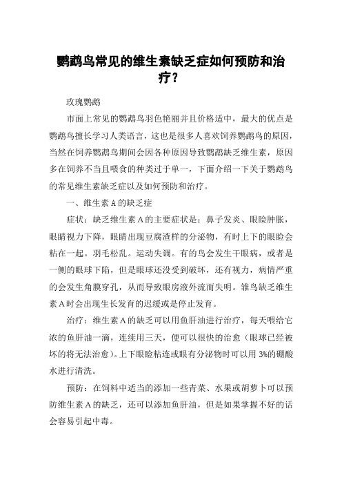 鹦鹉鸟常见的维生素缺乏症如何预防和治疗？