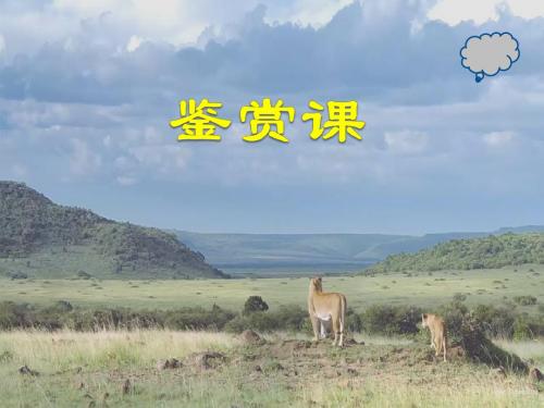 人音版高中音乐鉴赏《走进非洲》课件