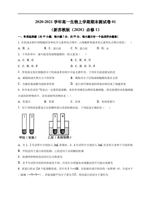 2020-2021学年高一生物上学期期末测试卷01(新苏教版(2020)必修1) (原卷版)