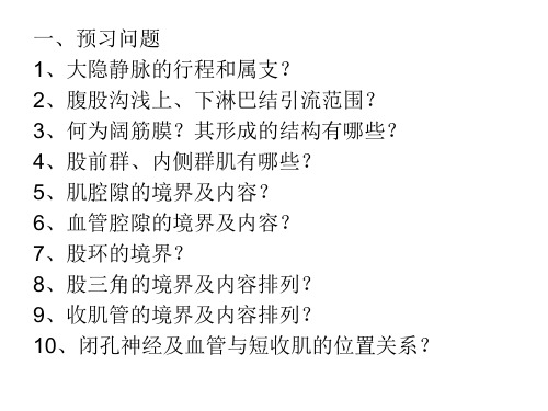 局部解剖学股前区