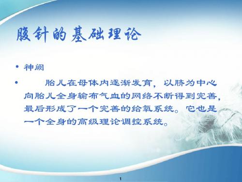 腹针PPT