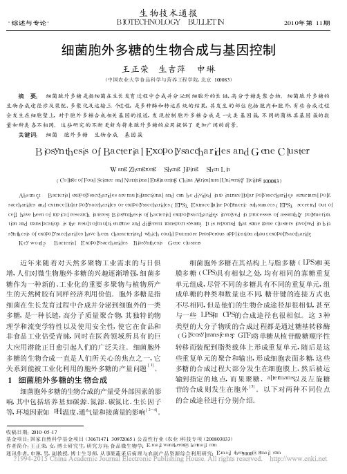 细菌胞外多糖的生物合成与基因控制_王正荣