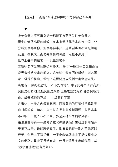 【盘点】云南的16种诡异植物!每种都让人胆寒!
