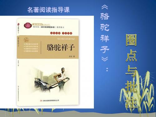 七年级语文下《名著导读 《骆驼祥子》：圈点与批注》_0