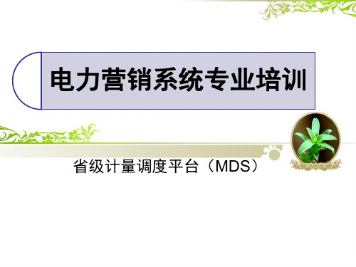电力营销系统专业-MDS