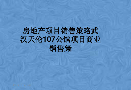 房地产项目销售策略武汉天伦107公馆项目商业销售策