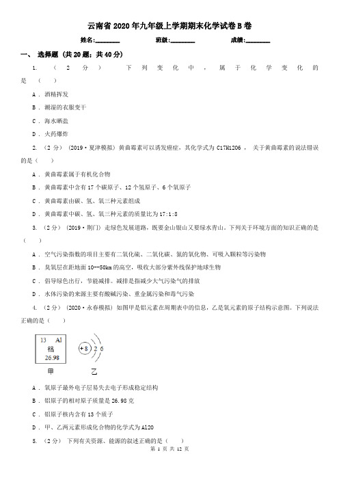 云南省2020年九年级上学期期末化学试卷B卷(精编)