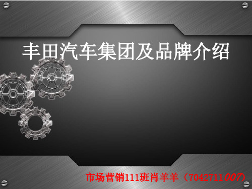 丰田汽车肖羊羊