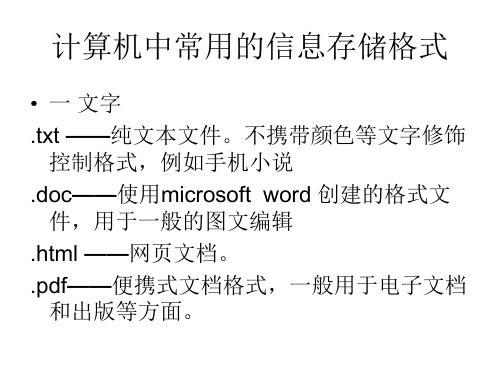 计算机中常用的信息存储格式