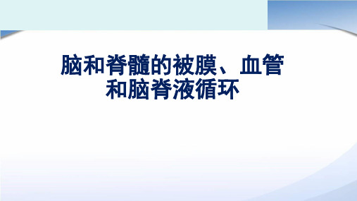 脑和脊髓的被膜、血管及脑脊液的循环