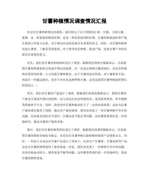 甘薯种植情况调查情况汇报