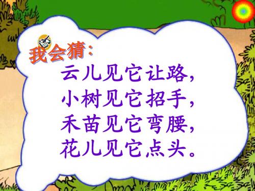 《16风娃娃》PPT课件