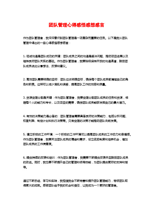 团队管理心得感悟感想感言