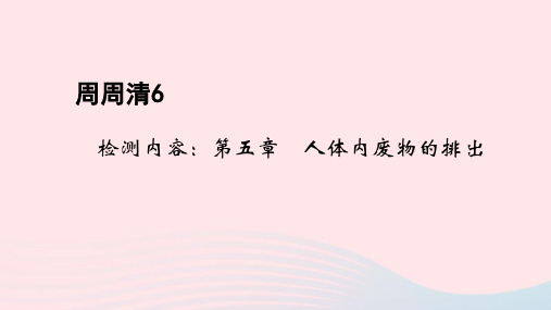七年级生物下册周周清6作业课件人教版.ppt