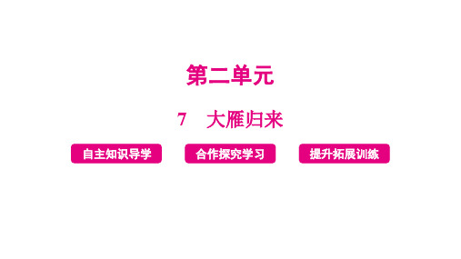 《大雁归来》ppt课件