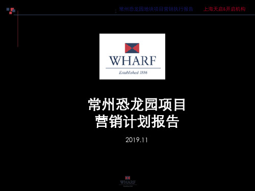 2019九龙仓常州恐龙园地块项目营销计划报告-文档资料
