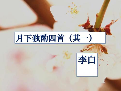 月下独酌四首(其一)