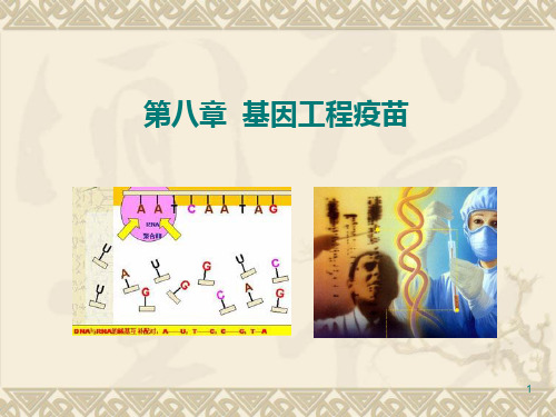 第八章 基因工程疫苗